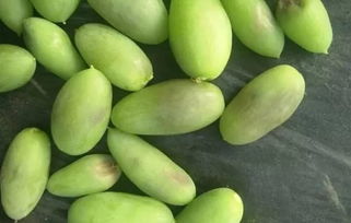 植?？萍贾r業發展，特色產業推動鄉村振興